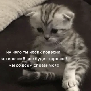 💓 emoji пикчи!! Telegram sticker 19 of 20