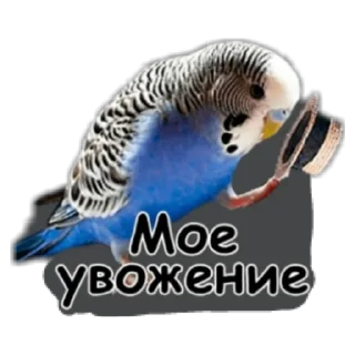 👍 emoji Пикчи Telegram sticker 21 of 85