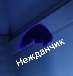 🌟 emoji Команда Telegram sticker 22 of 72