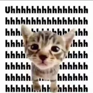 🐱 emoji kittiesareso~ @feellikeiFIL Telegram sticker 24 of 40