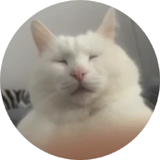 😐 emoji дадолбаебыпосмейтесьсрыгающего Telegram sticker 14 of 16