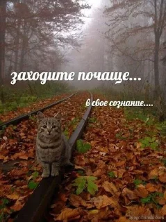 Sticker from виктория кинн
