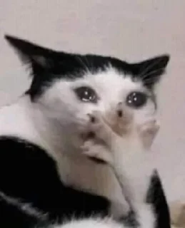 😭 emoji На все случаи жизни Telegram sticker 22 of 54
