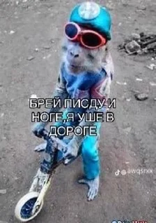 🥸 emoji дофеброн Telegram sticker 12 of 41