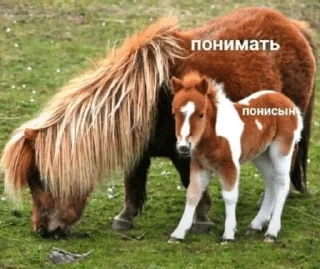 Sticker from Нихуя это чо доза :: @moxito_993