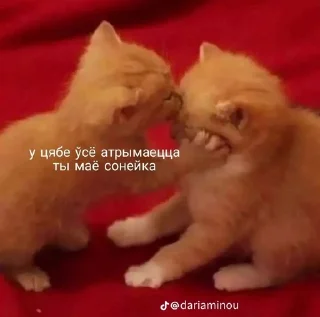 🌟 emoji Реал беларус стикерс Telegram sticker 7 of 55