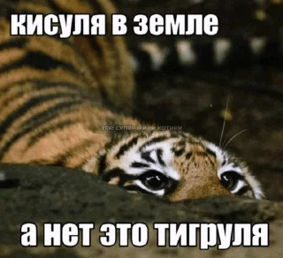 🌟 emoji хиханьки Telegram sticker 16 of 116