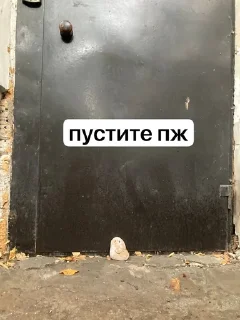 🌟 emoji Александр Telegram sticker 18 of 94