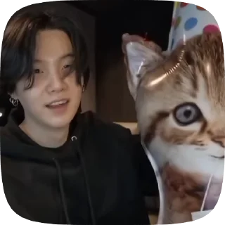 😺 emoji Юнги от @nikiikor Telegram sticker 23 of 40