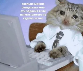😢 emoji Жизненные котики Telegram sticker 5 of 95