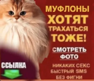 🌟 emoji НоуНейм Стикеры Telegram sticker 5 of 51