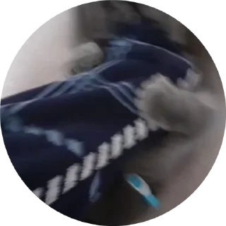 🌟 emoji Barsic video🐈🐈🐈 Telegram sticker 14 of 17