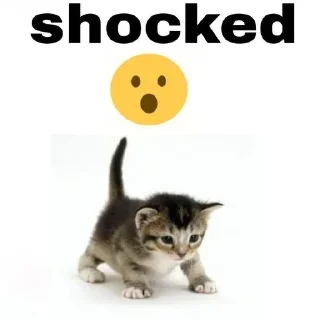 Sticker from это жесть