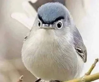 😠 emoji Дичь по жизни Telegram sticker 14 of 39