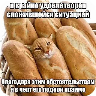 🖼 emoji Умная хрень 2.0 Telegram sticker 16 of 89