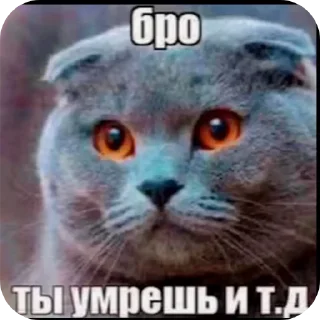 🖼 emoji Умная хрень 2.0 Telegram sticker 15 of 89