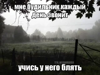 🌟 emoji Венчик Telegram sticker 23 of 119