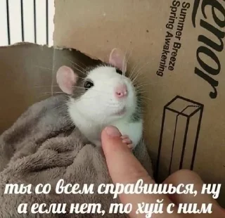 🙏 emoji Ну и хуйня Telegram sticker 14 of 120