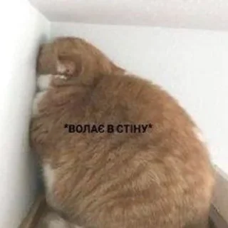 Sticker from Життя Бентежне