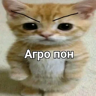 Sticker from Пон