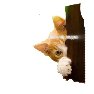 🐶 emoji Кто я? Telegram sticker 6 of 17