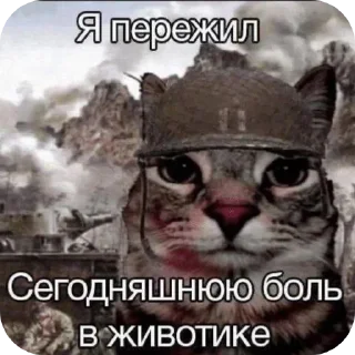 🖼 emoji Кто я? Telegram sticker 15 of 17