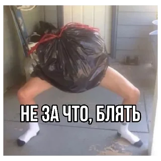 Sticker from панки хуй