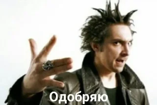 🌟 emoji ПАНКИ ХОЙ Telegram sticker 24 of 120