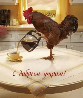 🐓 emoji Абоба Telegram sticker 5 of 64
