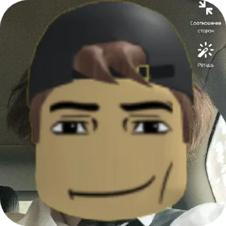 👍 emoji стикеры хз Telegram sticker 10 of 10