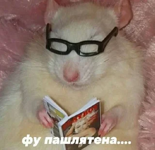 🔞 emoji я под кайфом Telegram sticker 7 of 68