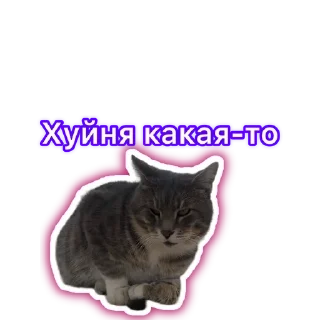 Sticker from Адд