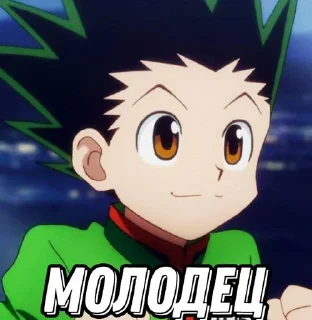 🌟 emoji Gon Freecs Telegram sticker 9 of 29