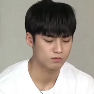 😒 emoji Mingyu Telegram sticker 21 of 47