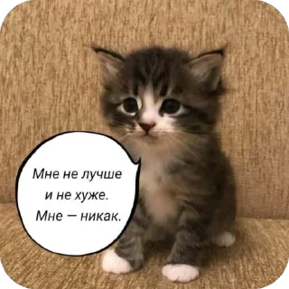 🫥 emoji котьки хехе Telegram sticker 23 of 51