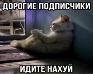 Sticker from Тычмоня<33 2.0