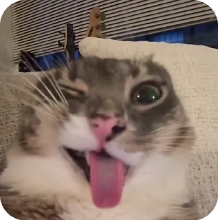 😜 emoji MegaBibidos Telegram sticker 4 of 104