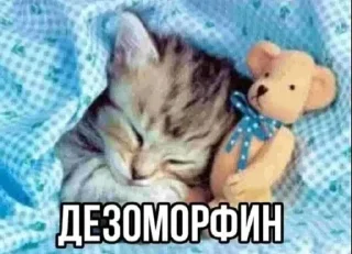 🌿 emoji Автор: @I_Love_Shinji Telegram sticker 7 of 38
