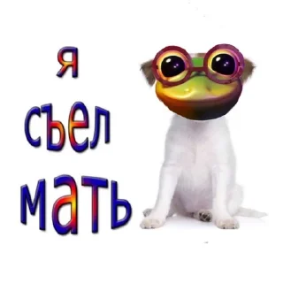 🐶 emoji @ignat_group_bot Telegram sticker 13 of 99