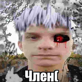 Sticker from Член?
