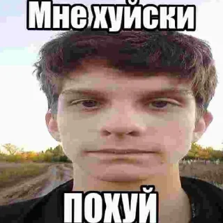 Sticker from Член?