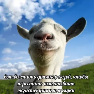 🤓 emoji дахакарунская ферма Telegram sticker 12 of 35