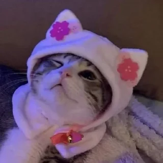 😻 emoji っ♡котики♡と Telegram sticker 9 of 20