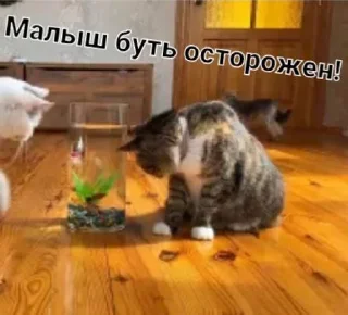 Sticker from Фан Ану-ка да-вай-ка