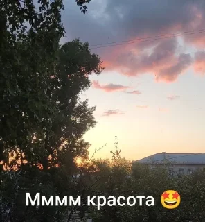 🌟 emoji Ку-ку ёпта Telegram sticker 18 of 24
