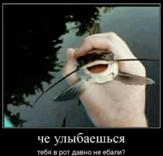 🙂 emoji Ку-ку ёпта Telegram sticker 23 of 24