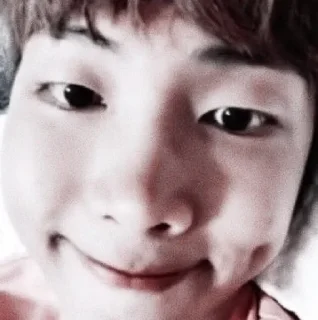 🧱 emoji namjoon Telegram sticker 20 of 24