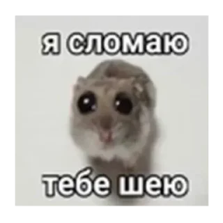 🥹 emoji Любимая лупикаль Telegram sticker 13 of 53