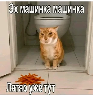 Sticker from Мемы