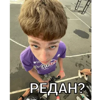 🕷️ emoji БК СШОР Telegram sticker 15 of 38
